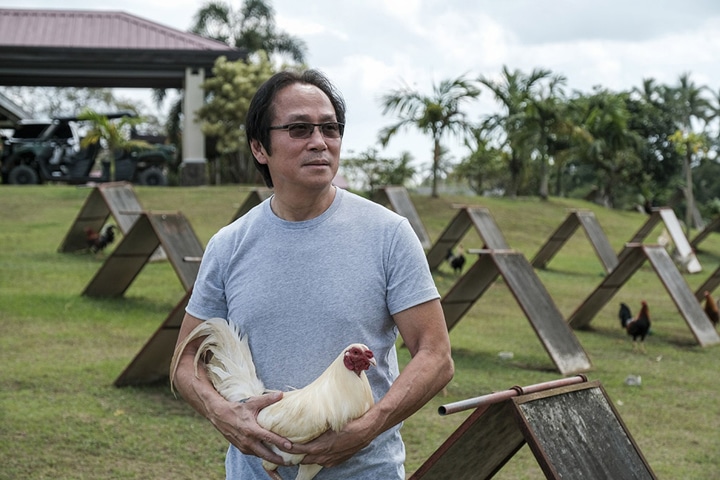 Superstar of sabong' | Cecilia Yap & Clarissa Batino | Bloomberg